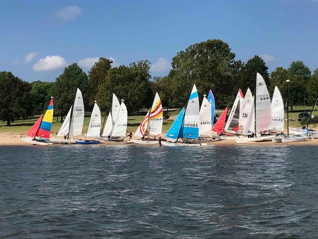 Catfight Regatta