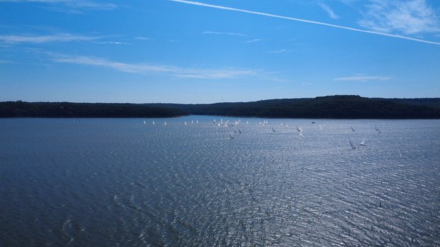 Aerial drone view of the Masters fleet racing